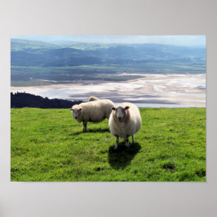 BERGSCHAFT POSTER