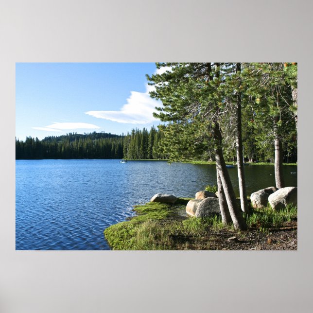 Bergsee, Pinienbäume, Boot Poster (Vorne)