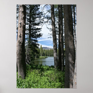 Bergsee, Wald (Portrait) Poster