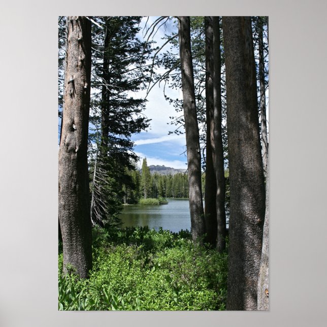 Bergsee, Wald (Portrait) Poster (Vorne)