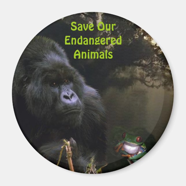 Bergsee-Zauber im Val Piora Magnet (Vorne)