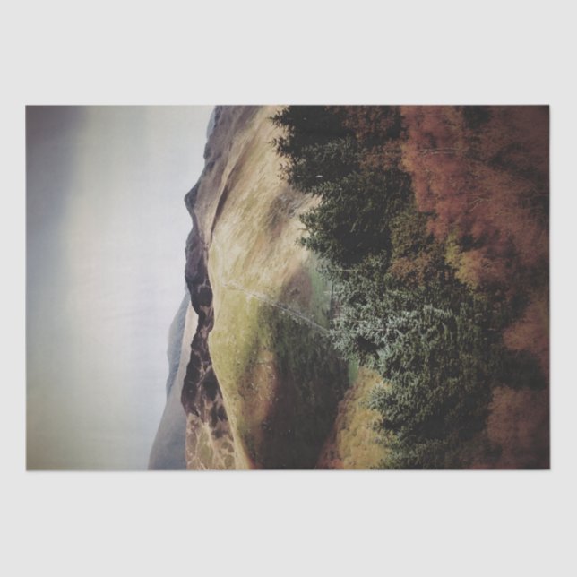 BERGSICHT AUF WALEN SEIDENPAPIER (Vorderseite)