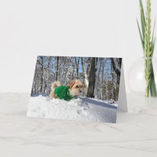 Bergsteiger-Ermutigungs-Karte Karte