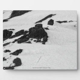 Bergsteiger Fotoplatte