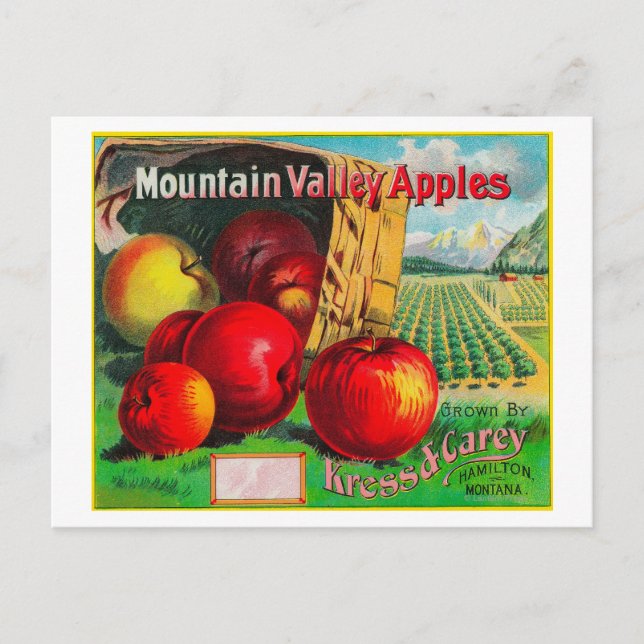 Bergtal Apple LabelHamilton, MT Postkarte (Vorderseite)