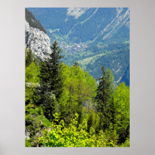 Bergwald in den Schweizer Alpen Poster