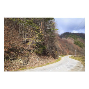 Bergwaldstraße - Wilde Natur Rumänien Fotodruck
