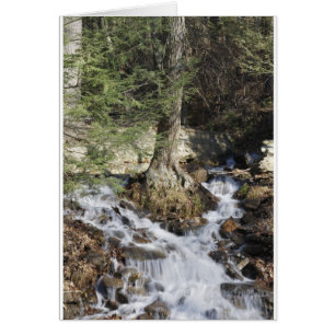 Bergwasserfall