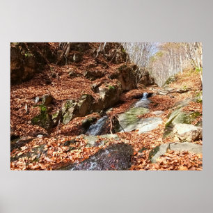 Bergwasserfall - Wilde Natur Rumänien Poster