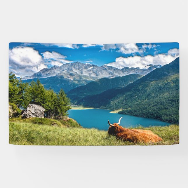 Bergweide Hochlandkuh Banner (Horizontal)