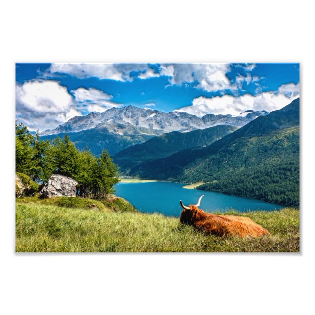 Bergweide Hochlandkuh Fotodruck (Vorne)