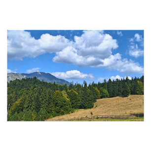 Bergwiesenlandschaft - Wilde Natur Rumänien Fotodruck