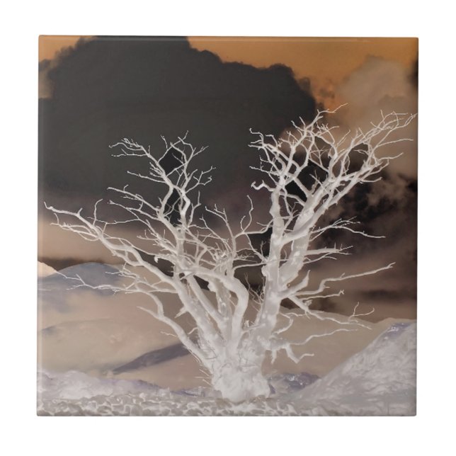 BERGWINTER FLIESE (Vorderseite)