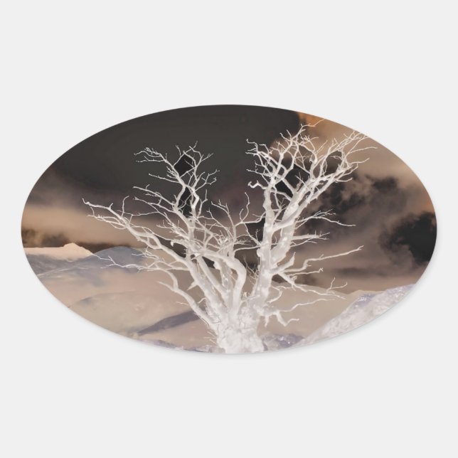 BERGWINTER OVALER AUFKLEBER (Vorderseite)