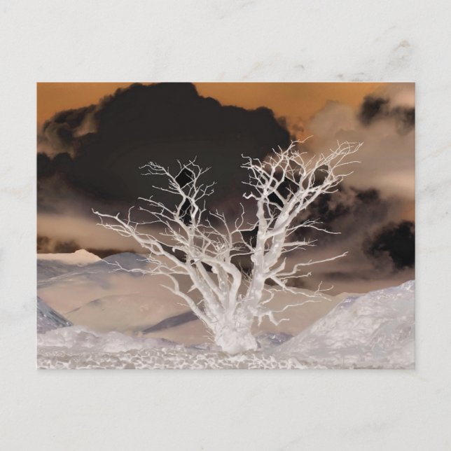 BERGWINTER POSTKARTE (Vorderseite)