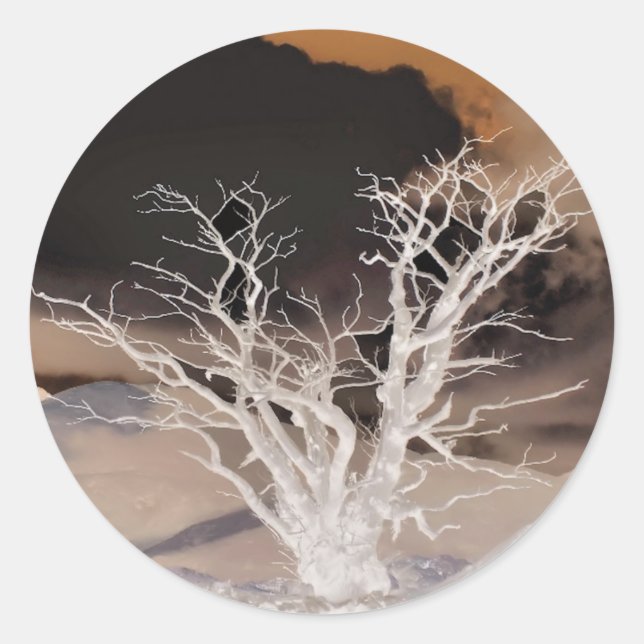 BERGWINTER RUNDER AUFKLEBER (Vorderseite)