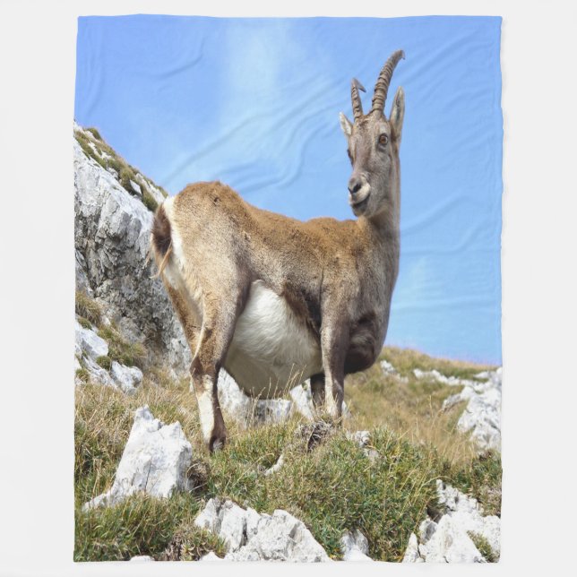 Bergziege Fleecedecke (Vorderseite)