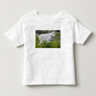 Bergziege Kind am Logan Pass im Glacier Kleinkind T-shirt