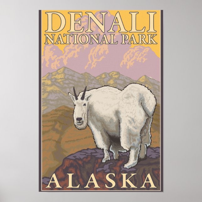 Bergziege - Nationalpark Denali, Alaska Poster (Vorne)