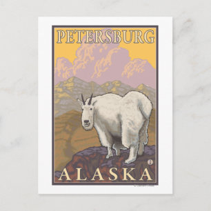 Bergziege - Petersburg, Alaska Postkarte