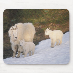Bergziegen Mousepad