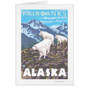 Bergziegen-Szene - Fairbanks, Alaska