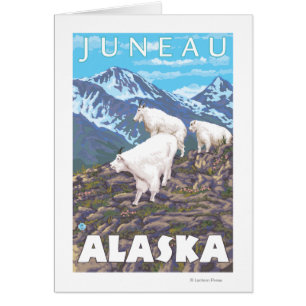 Bergziegen-Szene - Juneau, Alaska