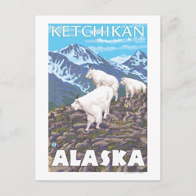Bergziegen-Szene - Ketchikan, Alaska Postkarte (Vorderseite)