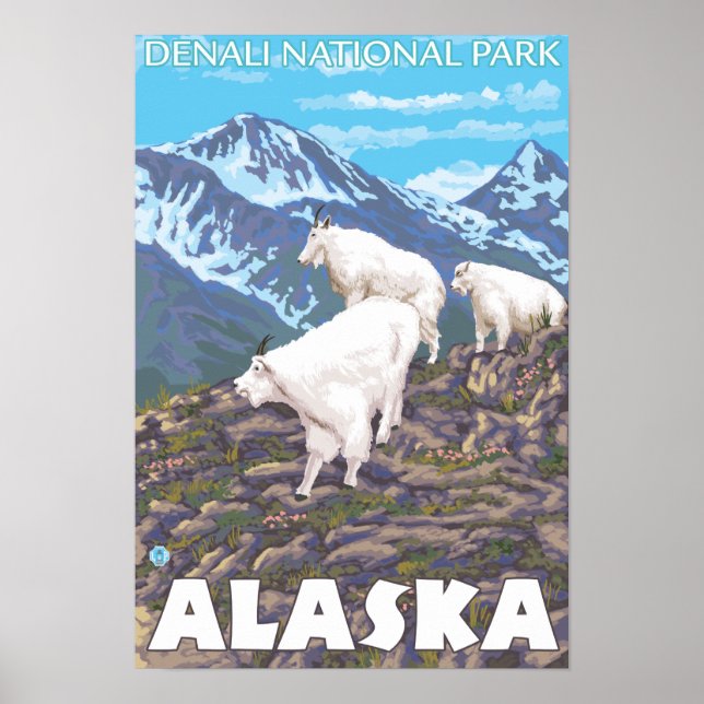 Bergziegen-Szene - Nationalpark Denali, Poster (Vorne)