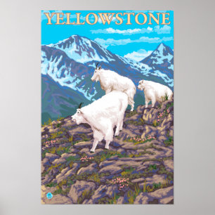 Bergziegen-Szene - Yellowstone-Nationalpark Poster