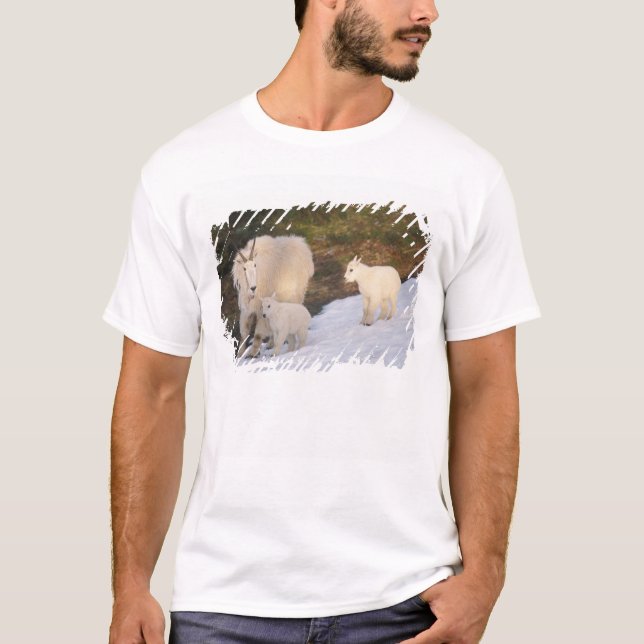 Bergziegen T-Shirt (Vorderseite)