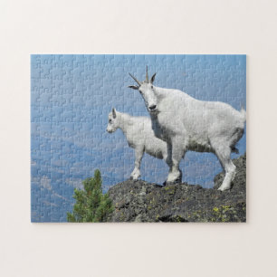 Bergziegen Weiße Wildtiere Foto Puzzle