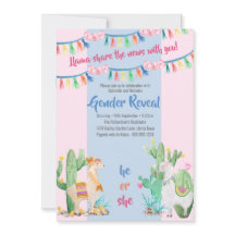 Bericht über Lama und Kaktus Rosa und Blaues Gesch