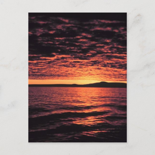 Bering Sea Sunset Postkarte (Vorderseite)