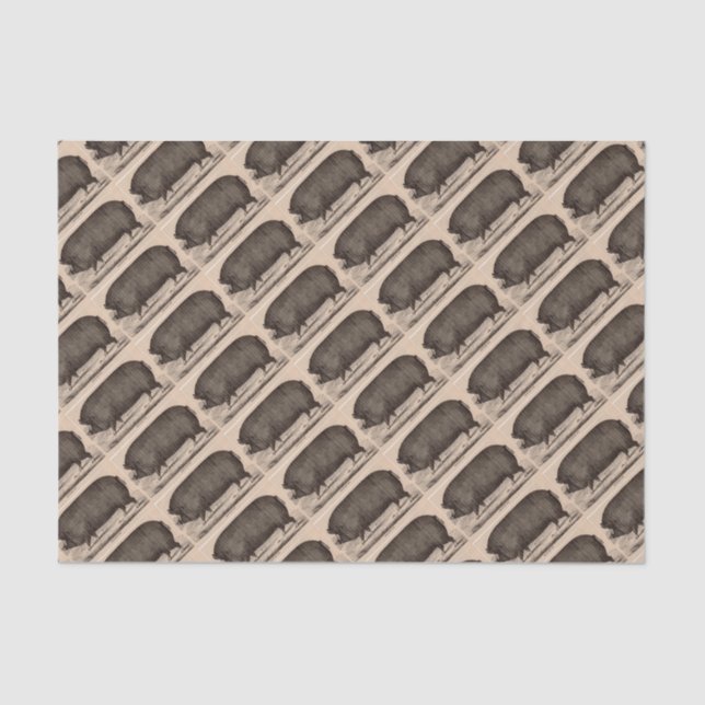 Berkshire-Farm-Druck aus dem 19. Jahrhundert Nr.2 Seidenpapier (Vorderseite)