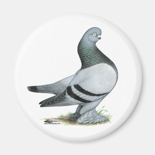 Berliner Tumbler Blue Bar Magnet
