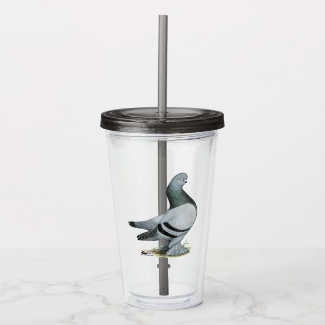 Berliner Tumbler Pigeon Blue Bar Acryltrinkbecher (Vorderseite)