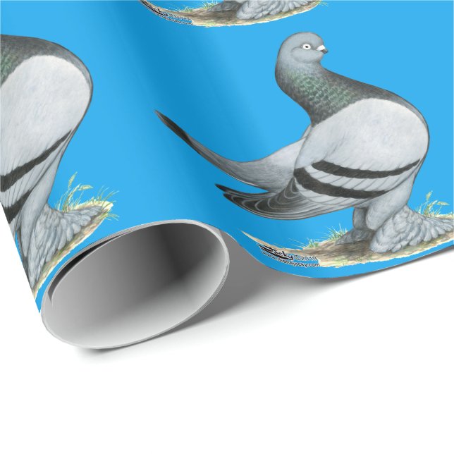 Berliner Tumbler Pigeon Blue Bar Geschenkpapier (Rolleneckpunkt)