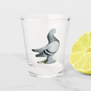Berliner Tumbler Pigeon Blue Bar Schnapsglas