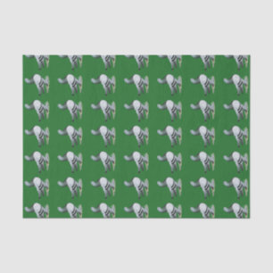 Berliner Tumbler Pigeon Blue Bar Seidenpapier