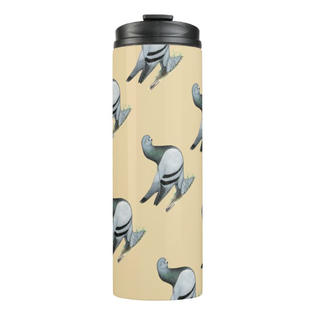 Berliner Tumbler Pigeon Blue Bar Thermosbecher (Vorderseite)