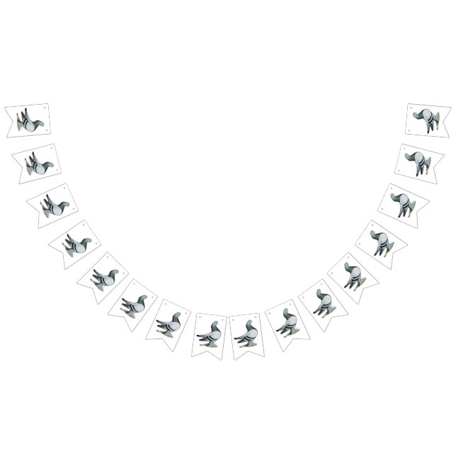 Berliner Tumbler Pigeon Blue Bar Wimpelkette (Alle)