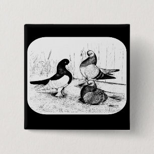 Berliner Tumbler Trio 1980 Button