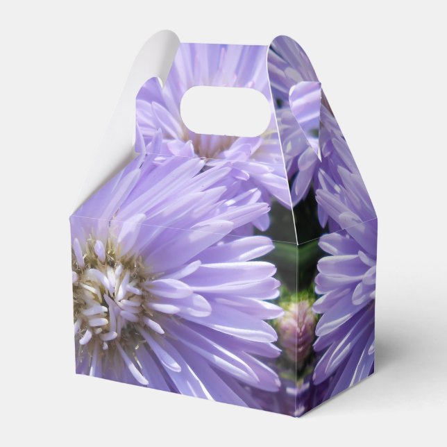 Berlinette Geschenkschachtel (Vorderseite)