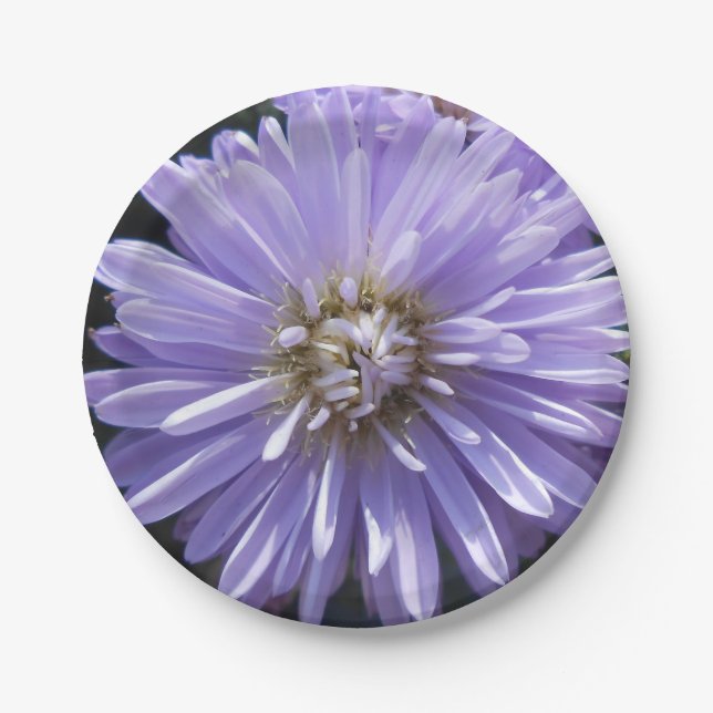 Berlinette Pappteller (Vorderseite)