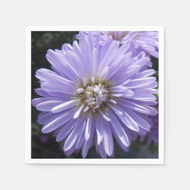 Berlinette Serviette (Vorderseite)