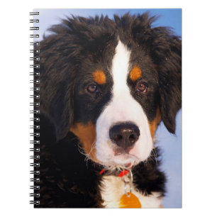 Bermese Mountain Dog Notizblock