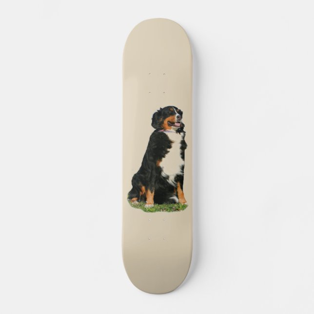 Bermese Mountain Hund Skateboard (Vorderseite)