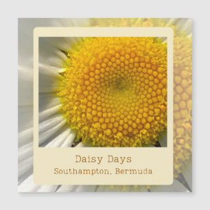 Bermuda Daisy Magnetkarte