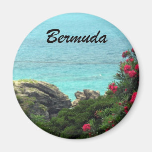 Bermuda Magnet